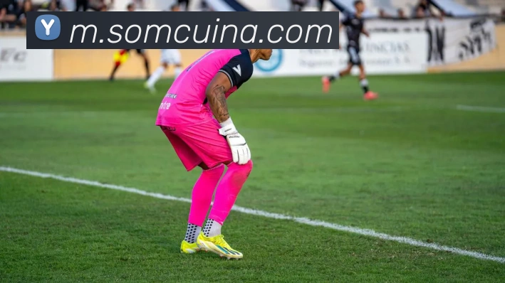平台使命图